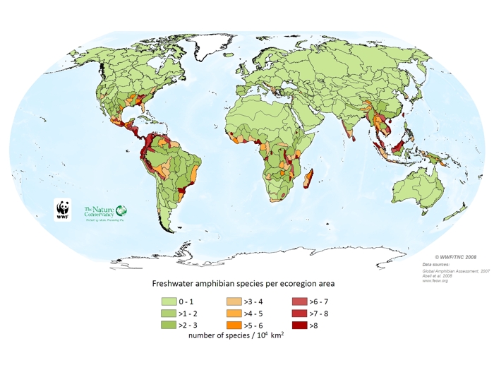 Freshwater amphibian species per ecoregion area