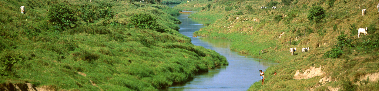 river meandering through a shallow valley