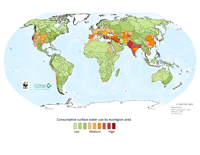 Consumptive surface water use by ecoregion area
